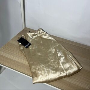 NWT NastyGal Silk Skirt